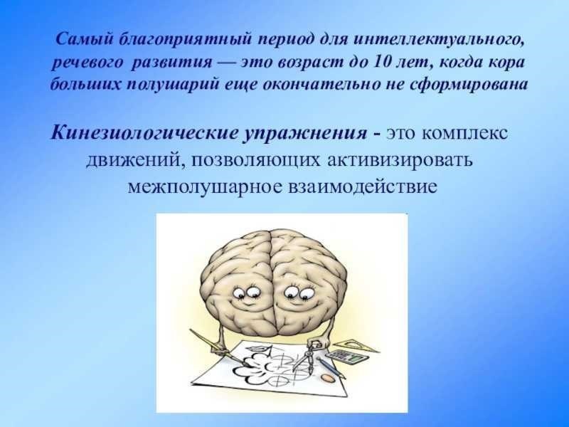 Межполушарные связи для чего нужны