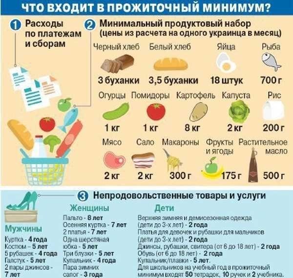 Прожиточный минимум на ребенка в московской области все необходимые расходы в одном списке